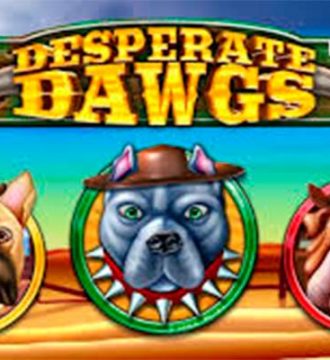 Desperate Dawgs